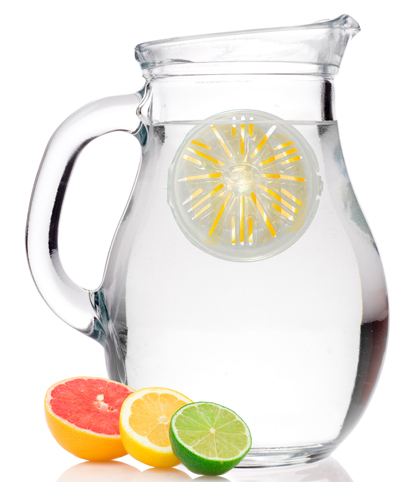 Set of 2 - Jokari Water Ball Flavor Infusers - SHIPS FREE!