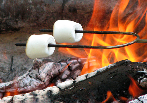 Telescoping Campfire Fork - The perfect roasting accessory 