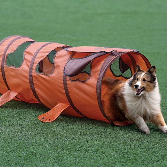 Dog Tunnel Indoor and Outdoor Fun! Ships FREE 13 Deals